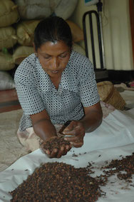 Sorting